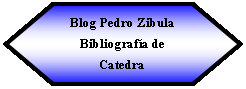 Preparacin: Blog Pedro Zibula Bibliografa de Catedra 