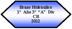 Preparación: Brazo Hidráulico 1°  Año 3°  “A”  Div  CB2012