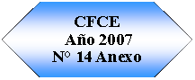 Preparaci�n: CFCE A�o 2007N� 14 Anexo