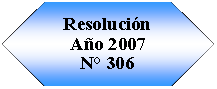 Preparaci�n: Resoluci�n A�o 2007N� 306