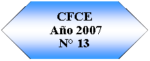 Preparaci�n: CFCE A�o 2007N� 13