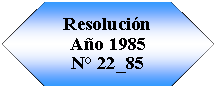 Preparaci�n: Resoluci�n A�o 1985N� 22_85
