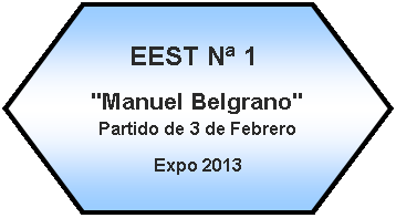 Preparación: EEST Nª 1 "Manuel Belgrano"  Partido de 3 de FebreroExpo 2013