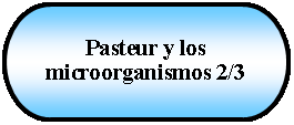 Terminador: Pasteur y los microorganismos 2/3