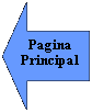 Flecha izquierda: Pagina  Principal
