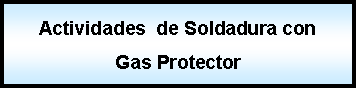 Proceso: Actividades  de Soldadura con Gas Protector